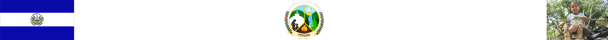 Banner Perquin