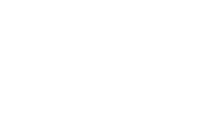 IconoCifrasPerquin